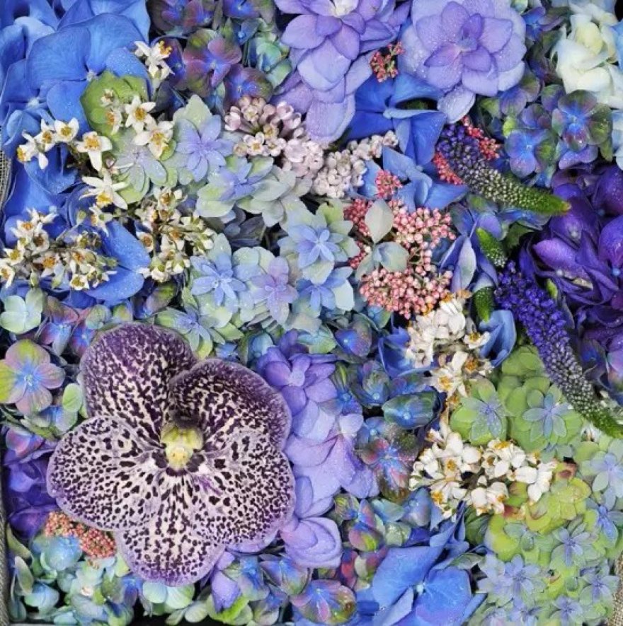 深圳星河智荟花园A座D户型样板房-2