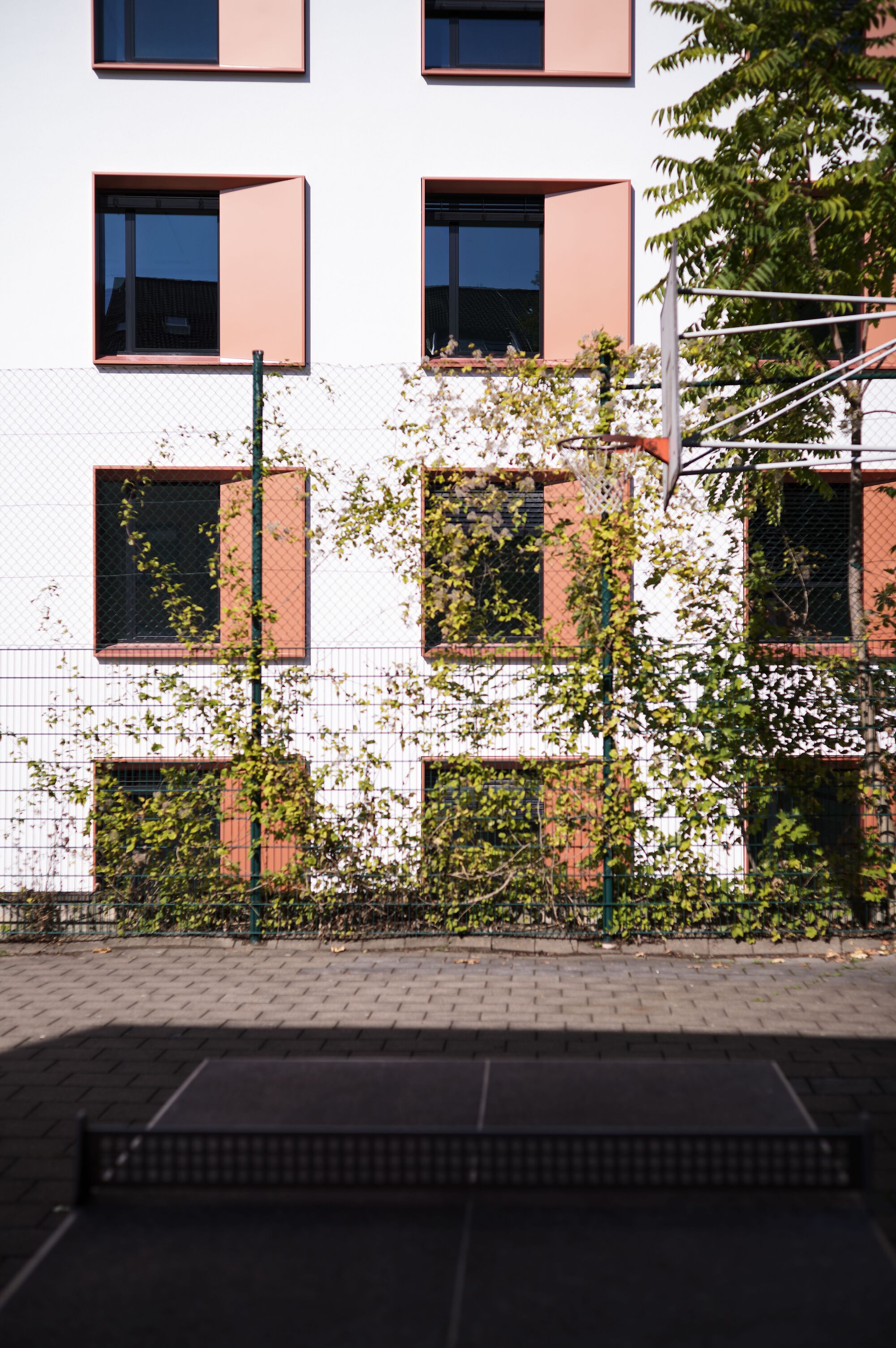 Center for Energy and Environmental Chemistry / Telluride Architektur-9