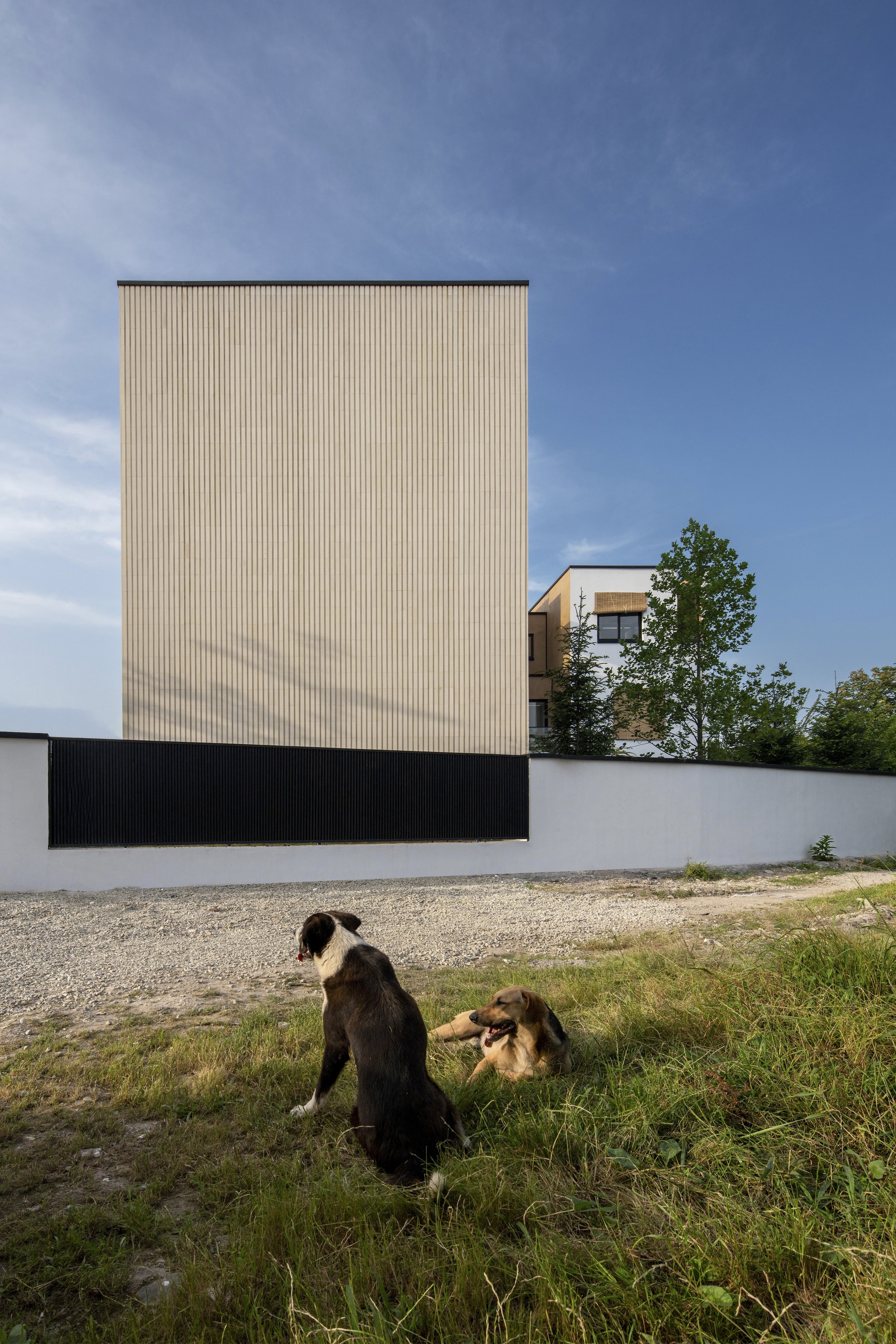 萨蒙别墅丨伊朗丨NaP studio-34