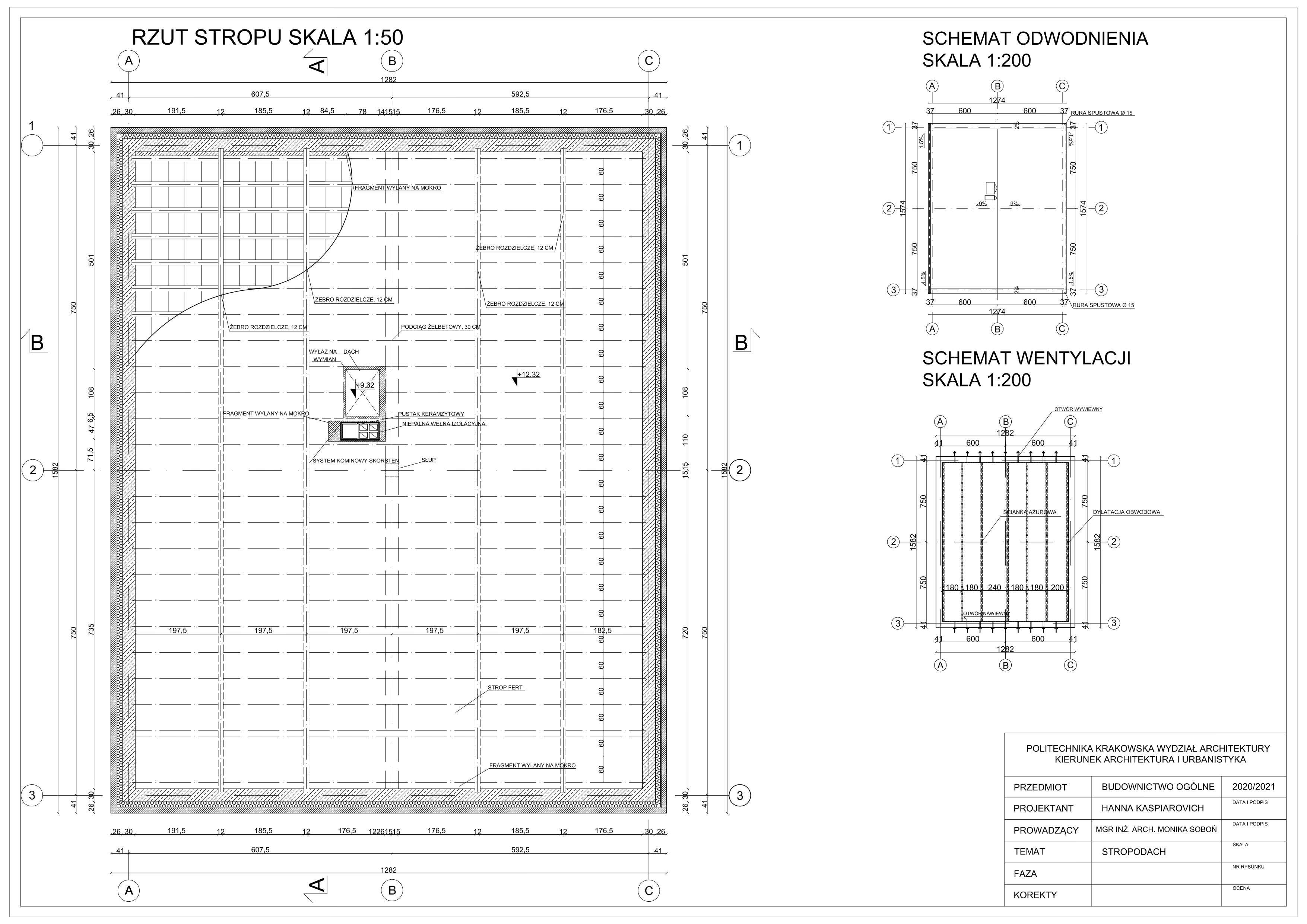 Project of the flat roof-0