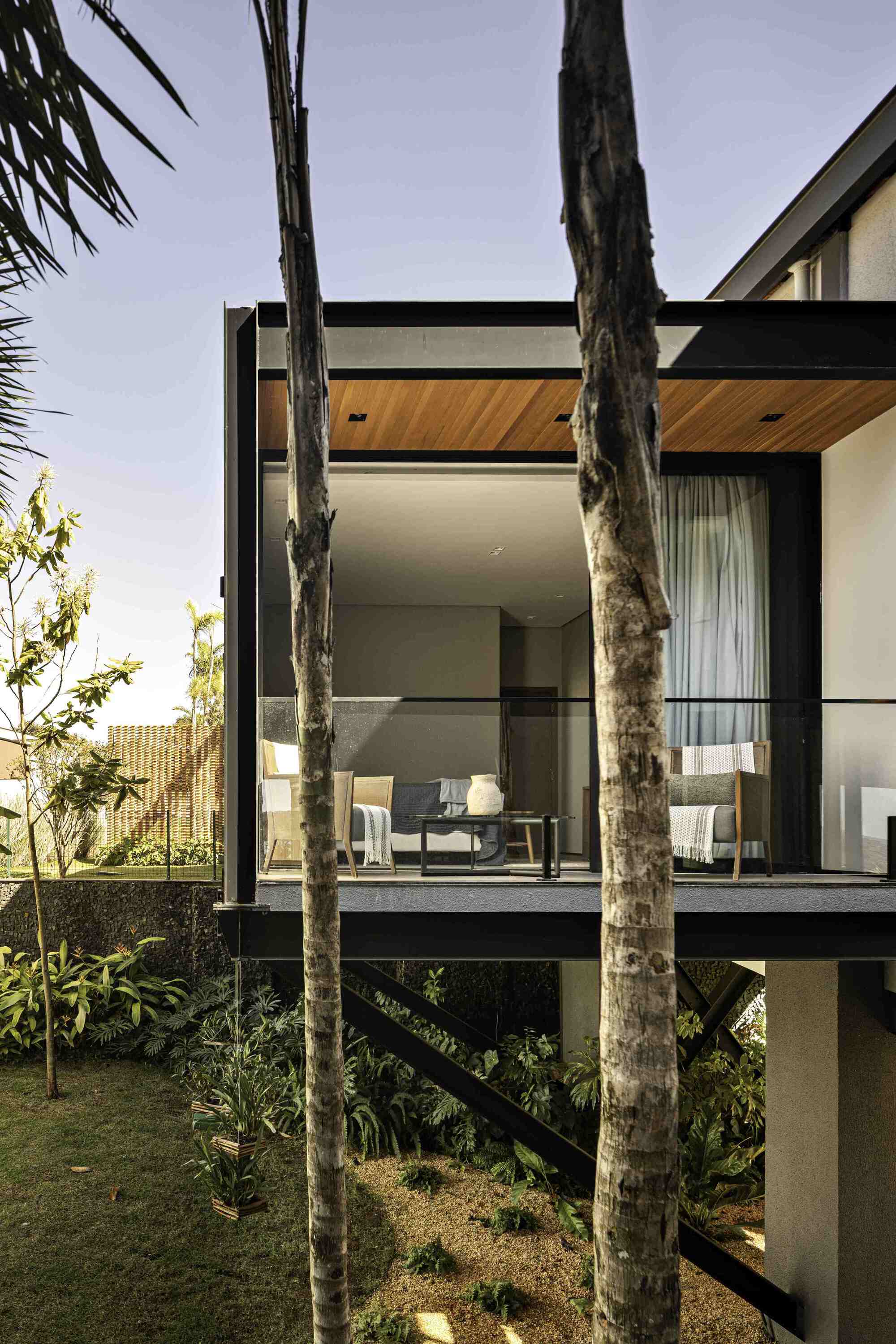 丨巴西戈亚斯-16