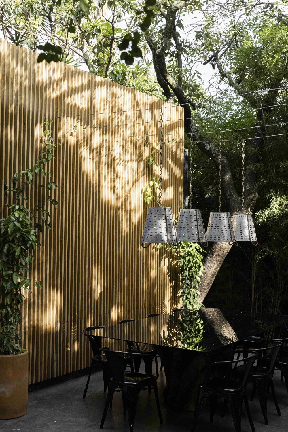 马格屋丨墨西哥丨Mauricio Ceballos X Architects-23