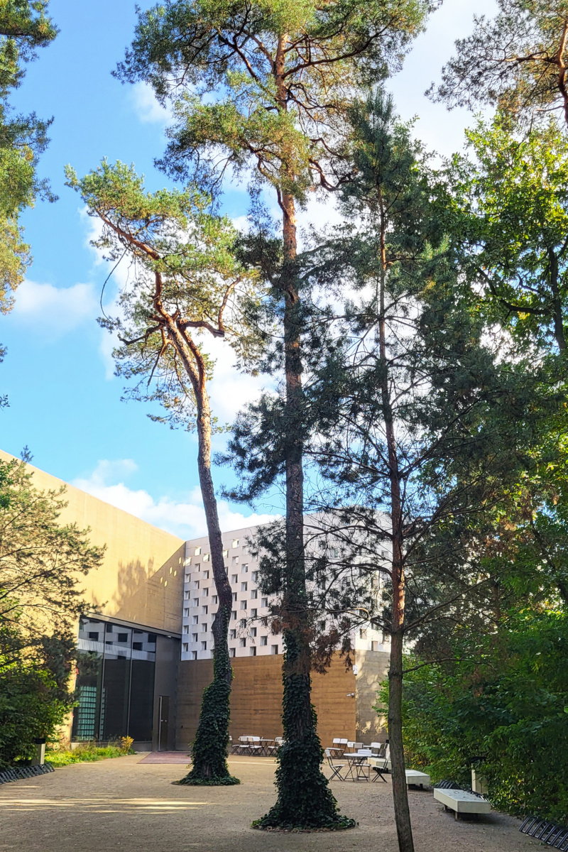 Muzeum J· Piłsudskiego（约瑟夫·毕苏斯基博物馆）-15