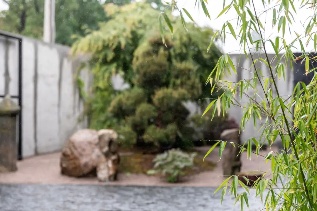 乌克兰 Shkrub 住宅丨Serhii Makhno-19