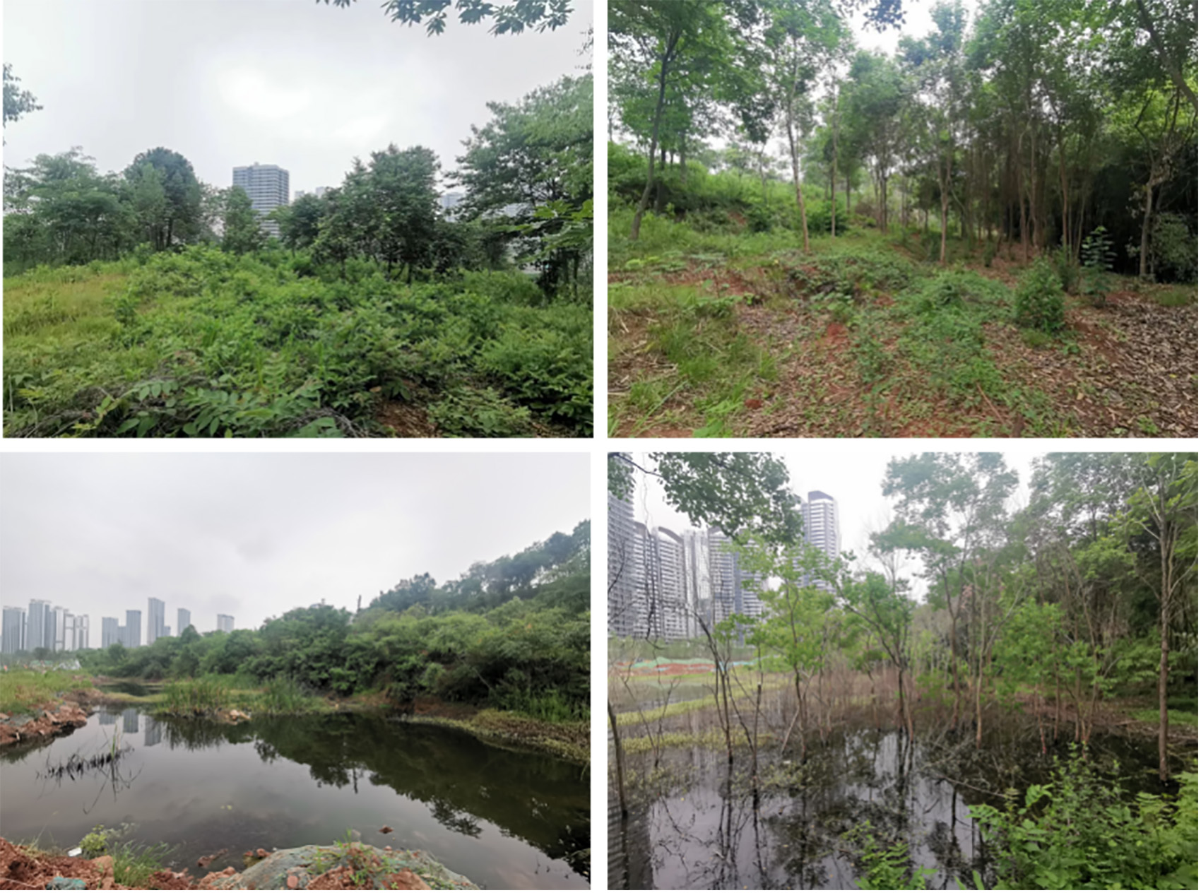 麓野公园丨中国成都丨四川乐道景观设计有限公司-23