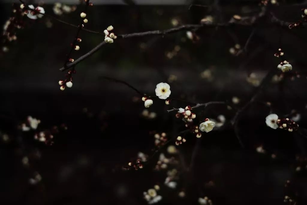 季裕棠新作 | 京都柏悦酒店-55