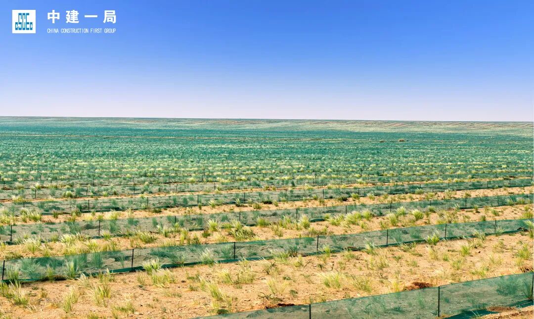筑牢北方生态安全屏障！中建一局阴山一线生态治理项目工程固沙完工-15