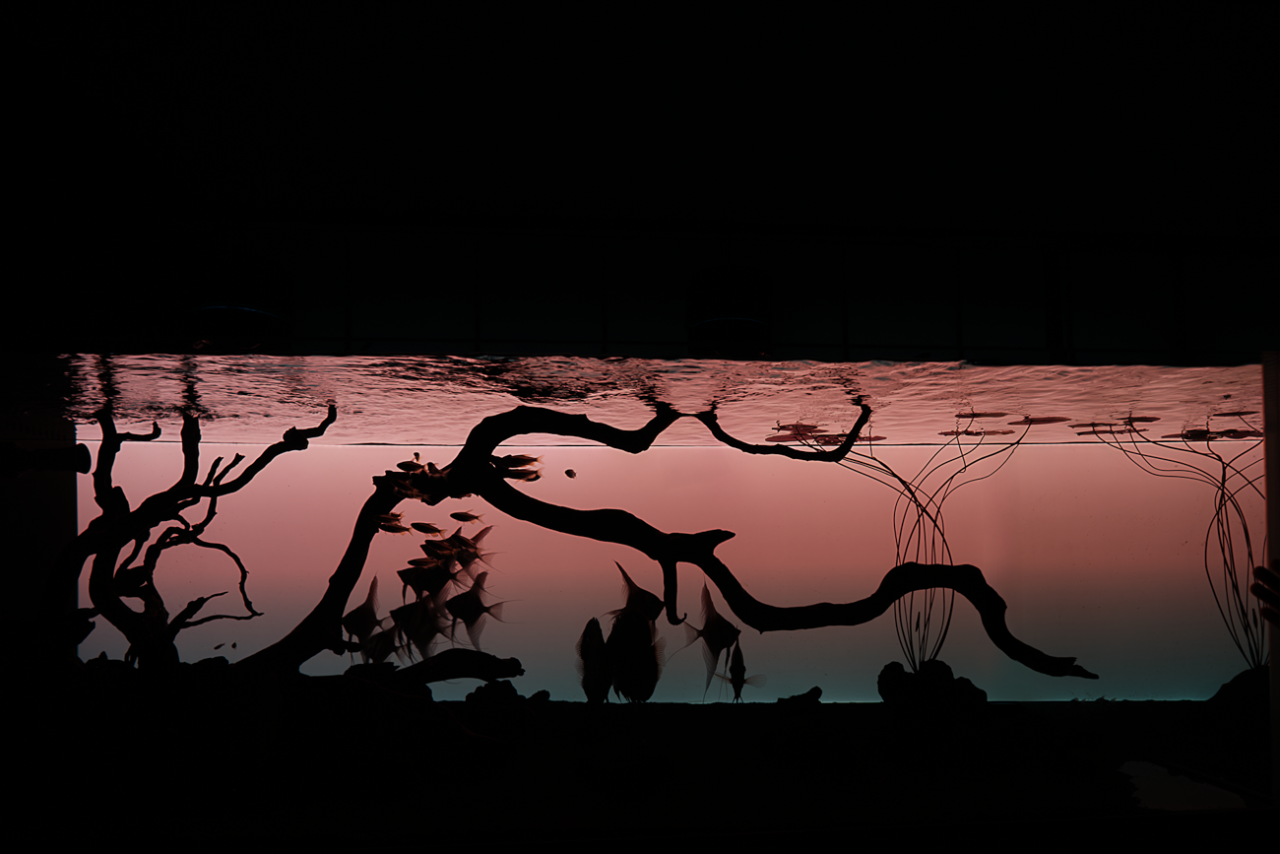 浙江温州250㎡凤起玉鸣丨中国温州丨大墨空间设计-51