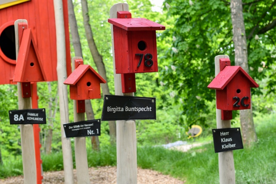 埃尔福特艾格公园知识森林丨德国丨德国雷瓦德景观建筑事务所-36