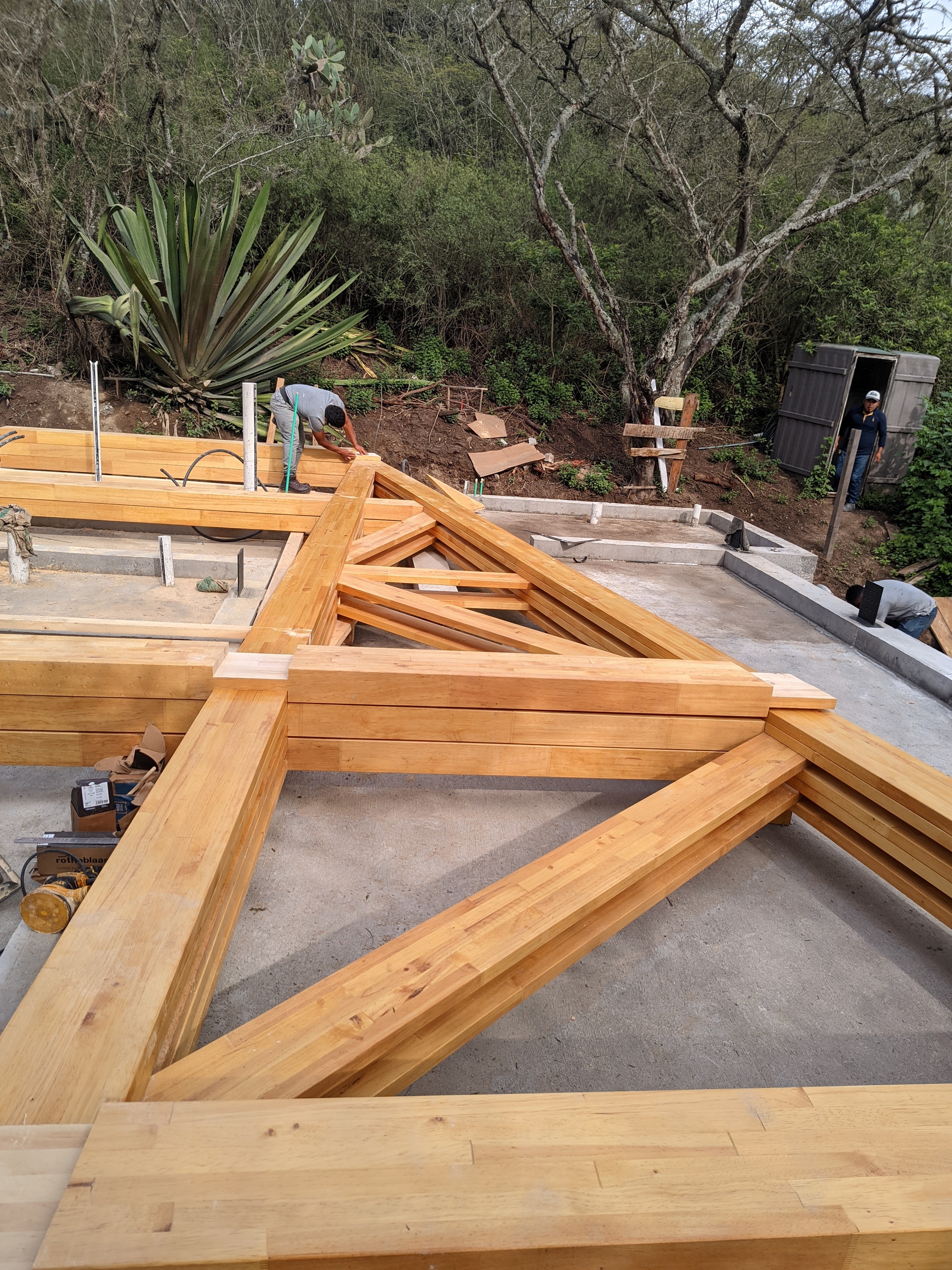 森林中的房子丨厄瓜多尔丨Espinoza Carvajal Arquitectos-37