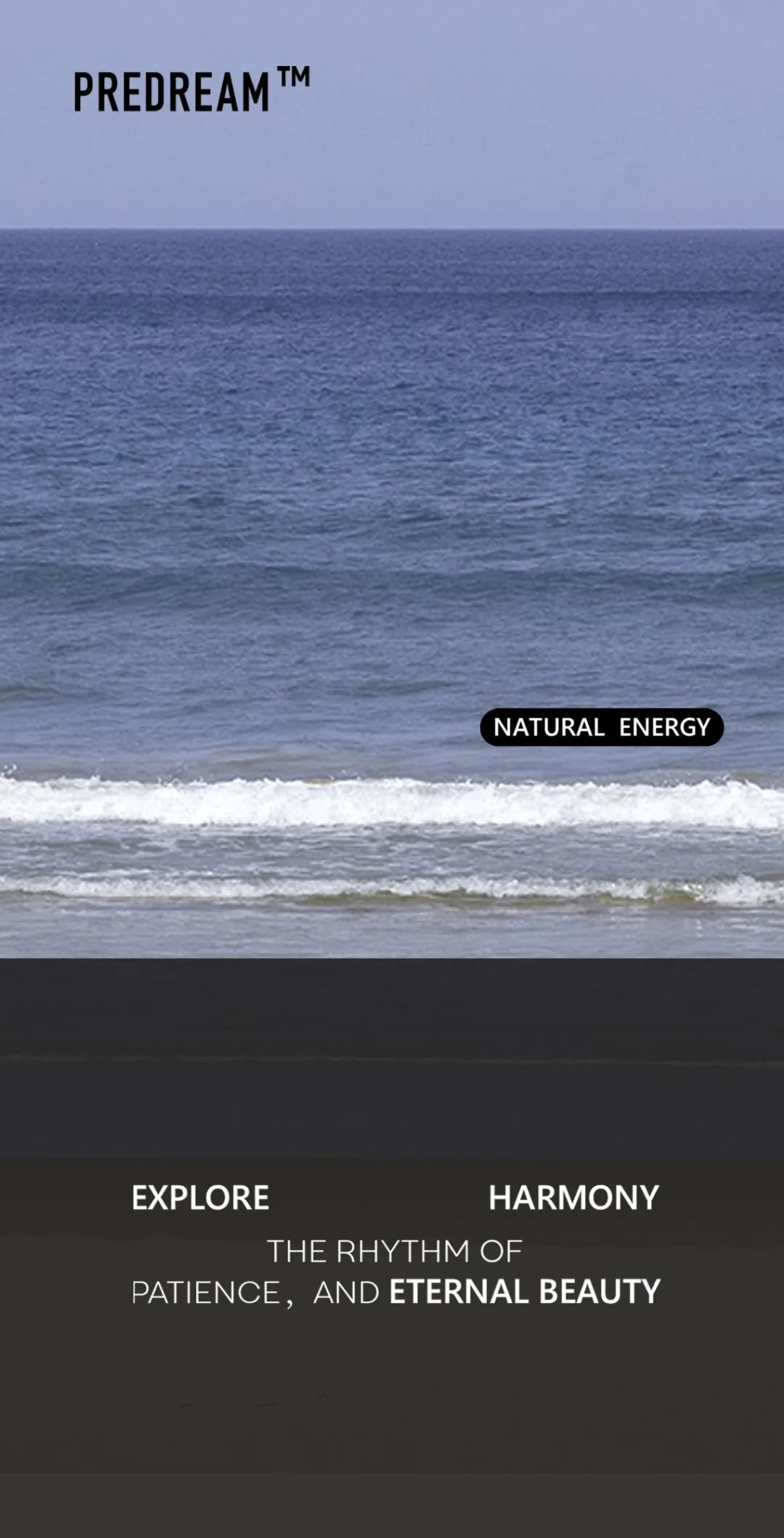 PREDREAM 概念店丨中国郑州丨明雾创作-1