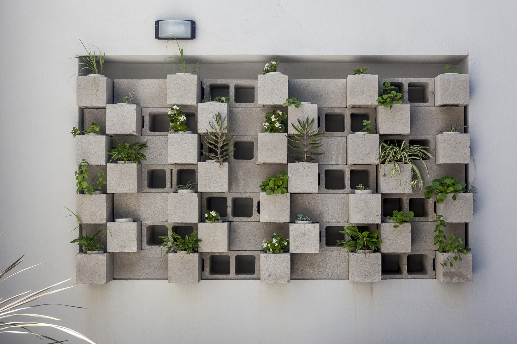 Tucumán 2615 建筑 - 自然与都市的和谐交融-22