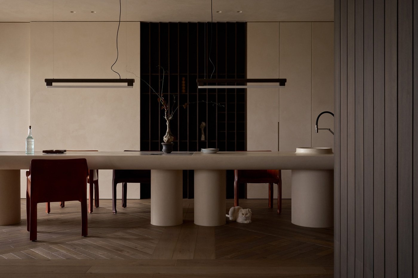 解构人猫共生的无界哲学-13