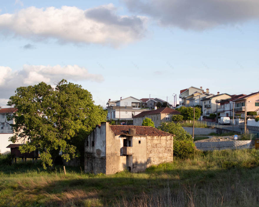 三代同堂之家丨葡萄牙丨fala-26