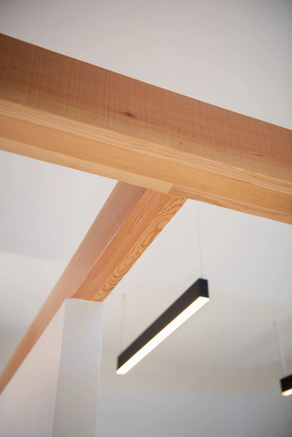 天际线牙科丨美国图森丨Rob Paulus Architect-29