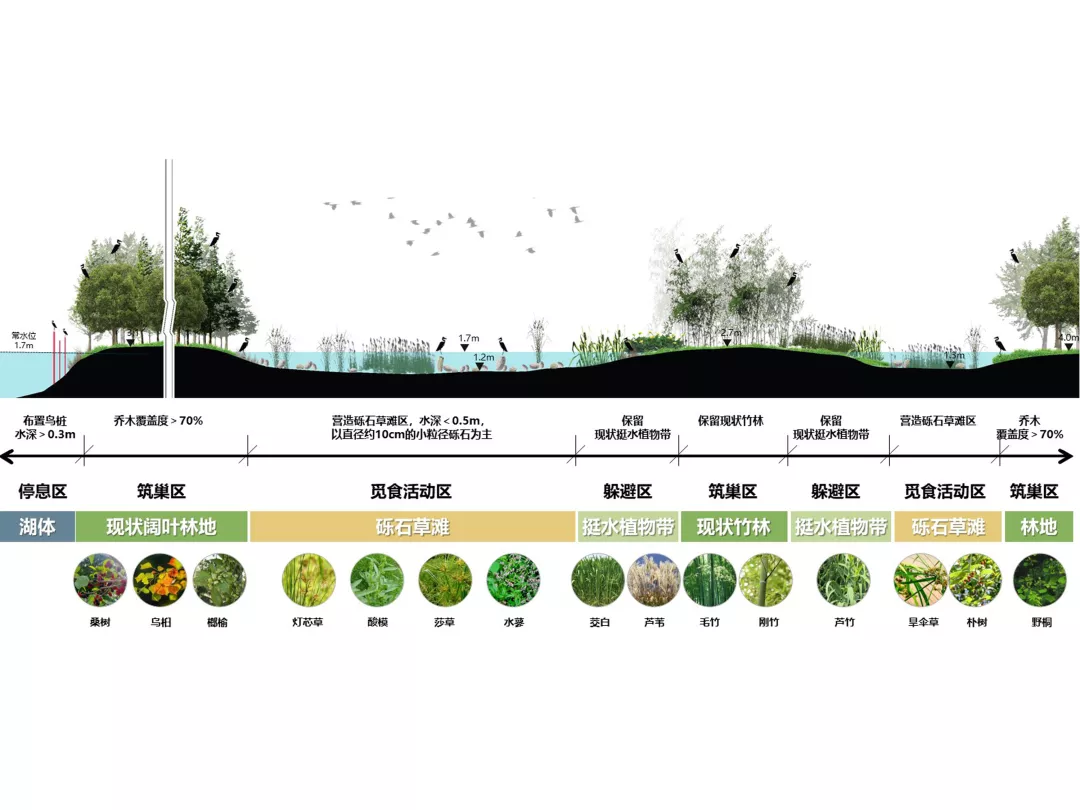 台州鉴洋湖湿地公园首启区景观设计丨中国台州丨AECOM-32