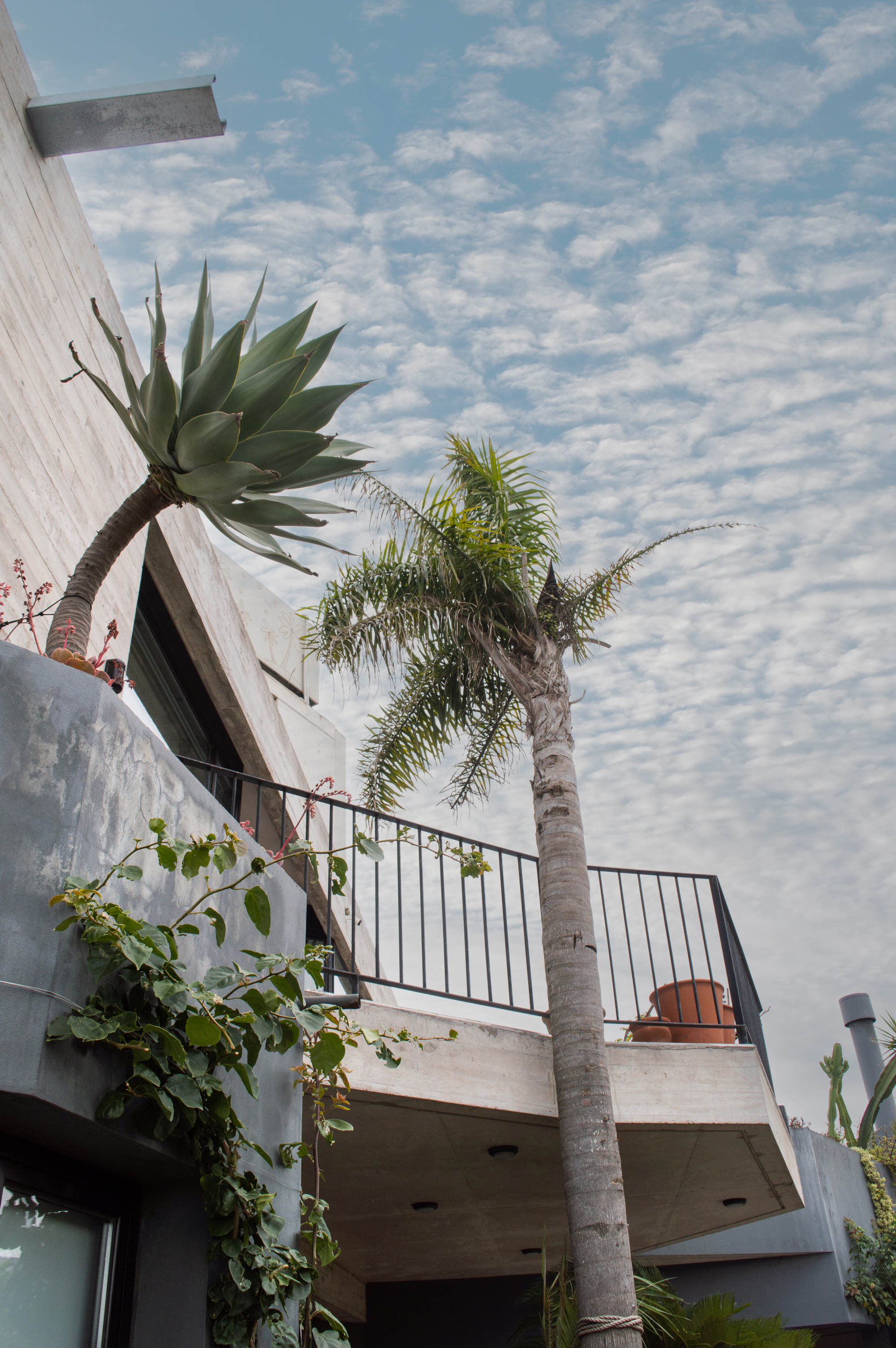 米拉多尔住宅丨阿根廷马德普拉塔-29