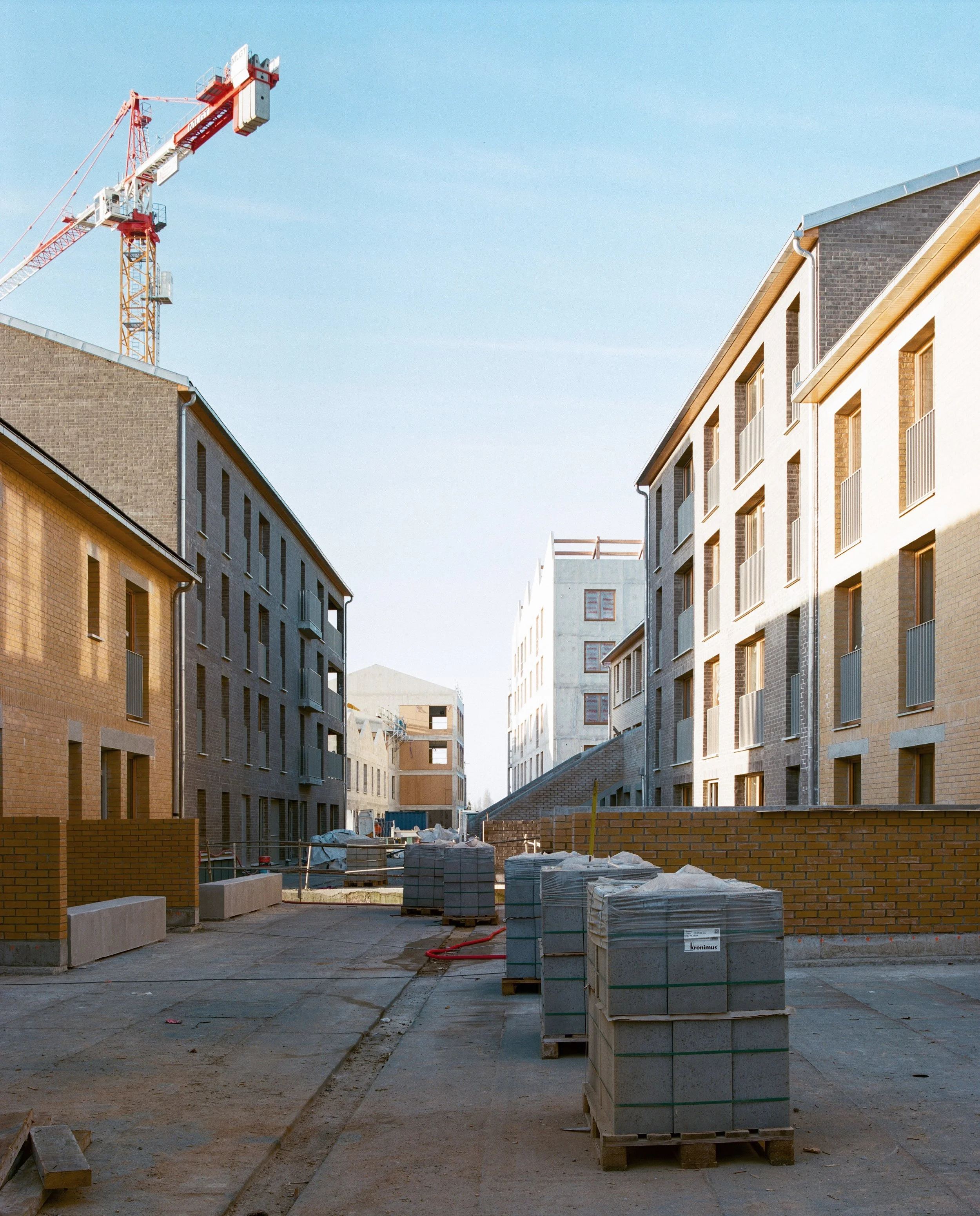 蒙让，龙吉斯·帕拉斯塔-26