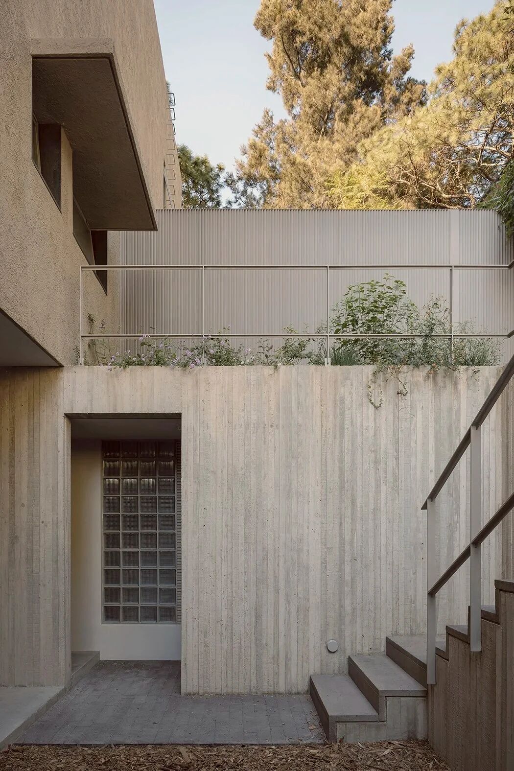 COA Arquitectura,森林庇护所丨墨西哥-19