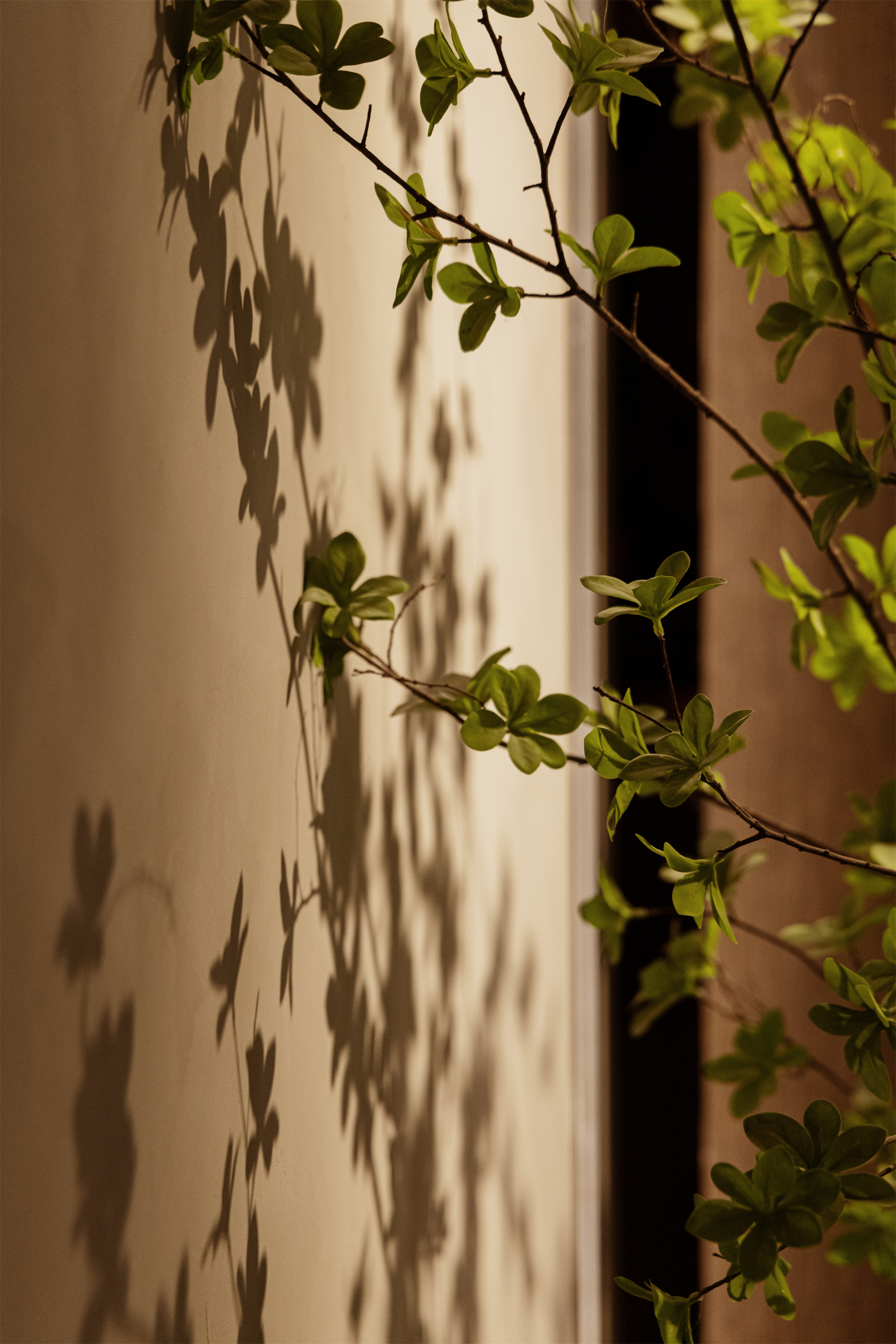 光影设计丨中国沈阳丨里外建筑空间设计-33