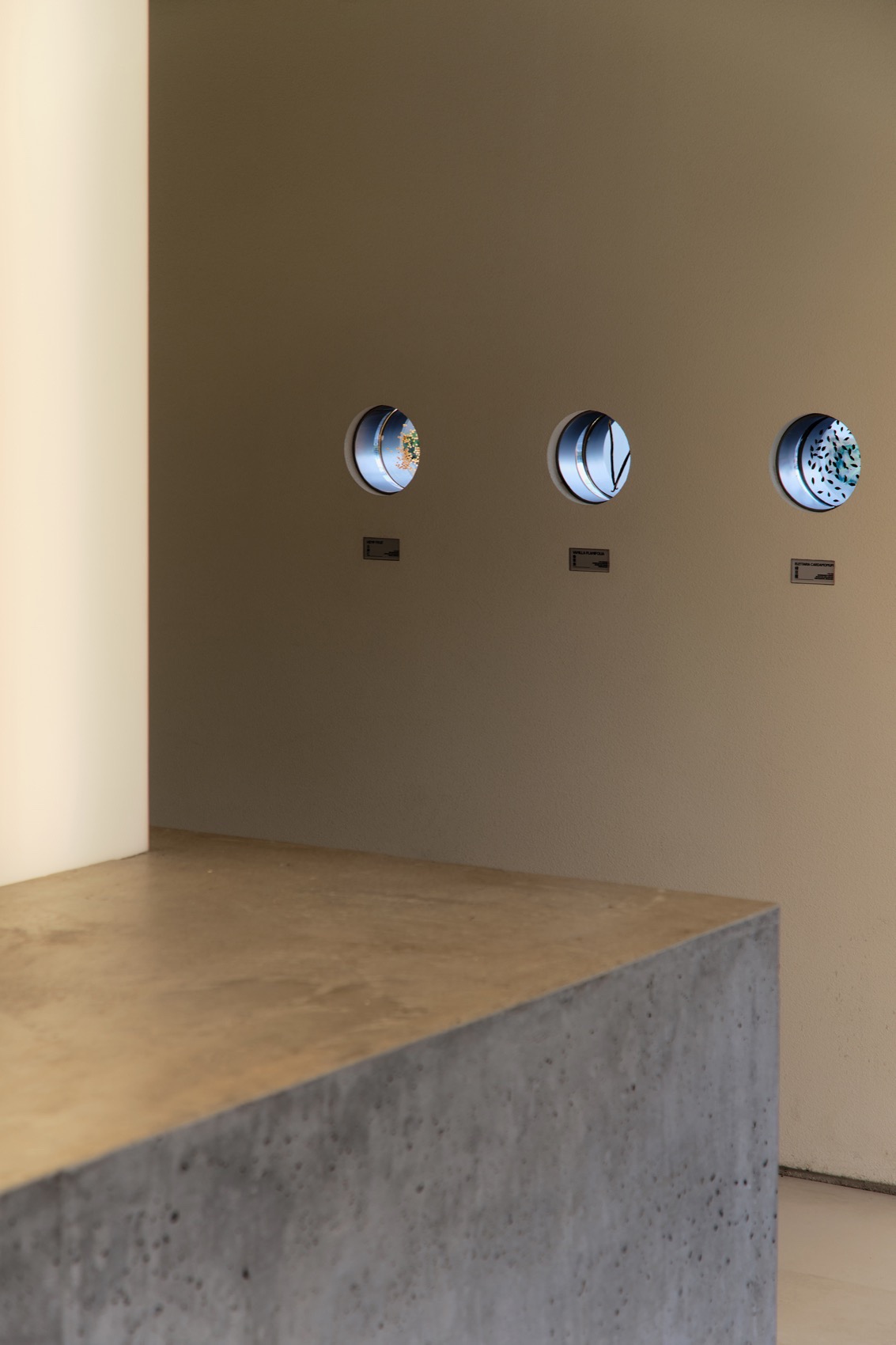 漂浮的香味 无限分之一丨中国东莞丨泛域设计-101