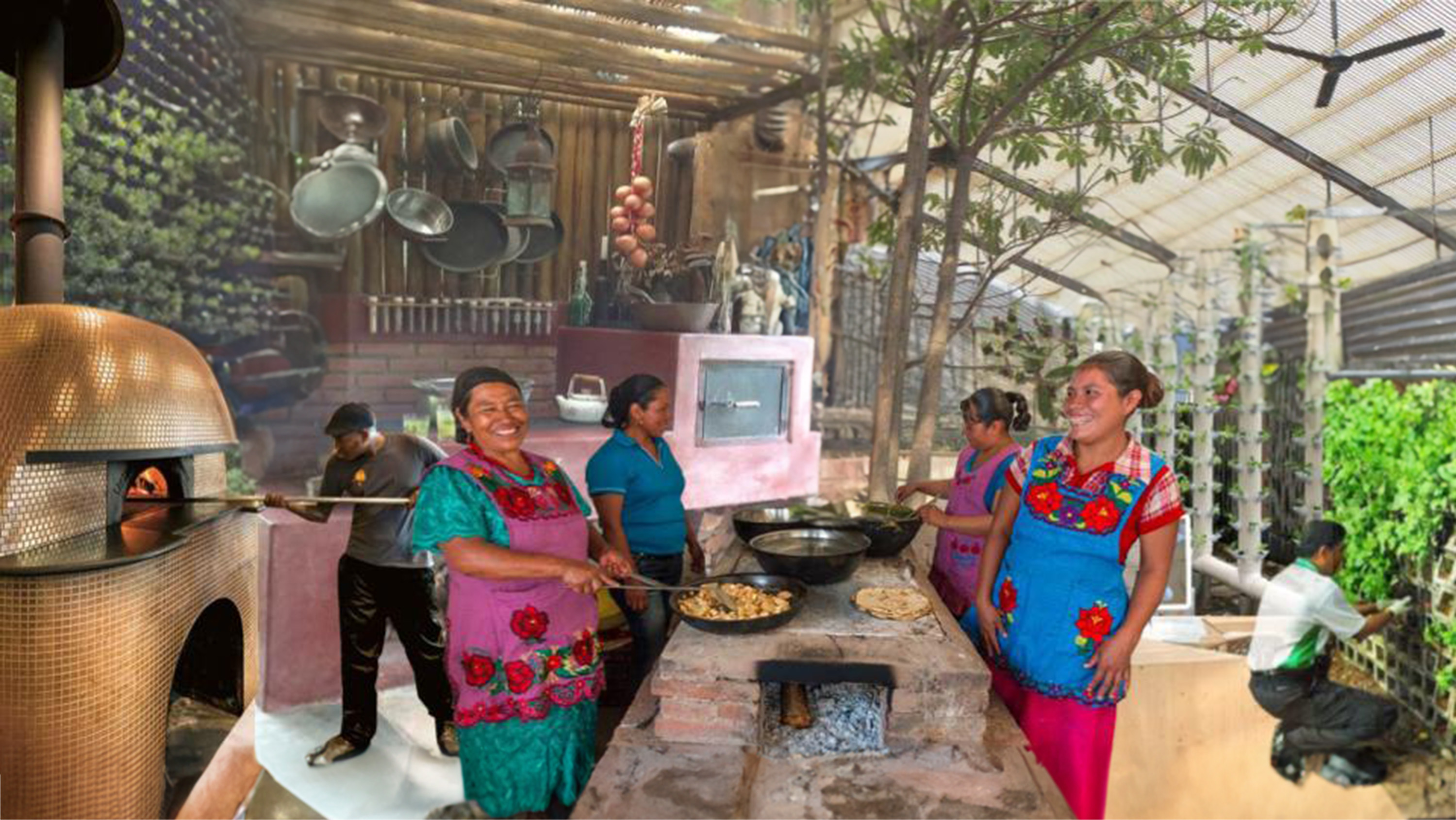 城市菜园丨哥斯达黎加圣何塞-2