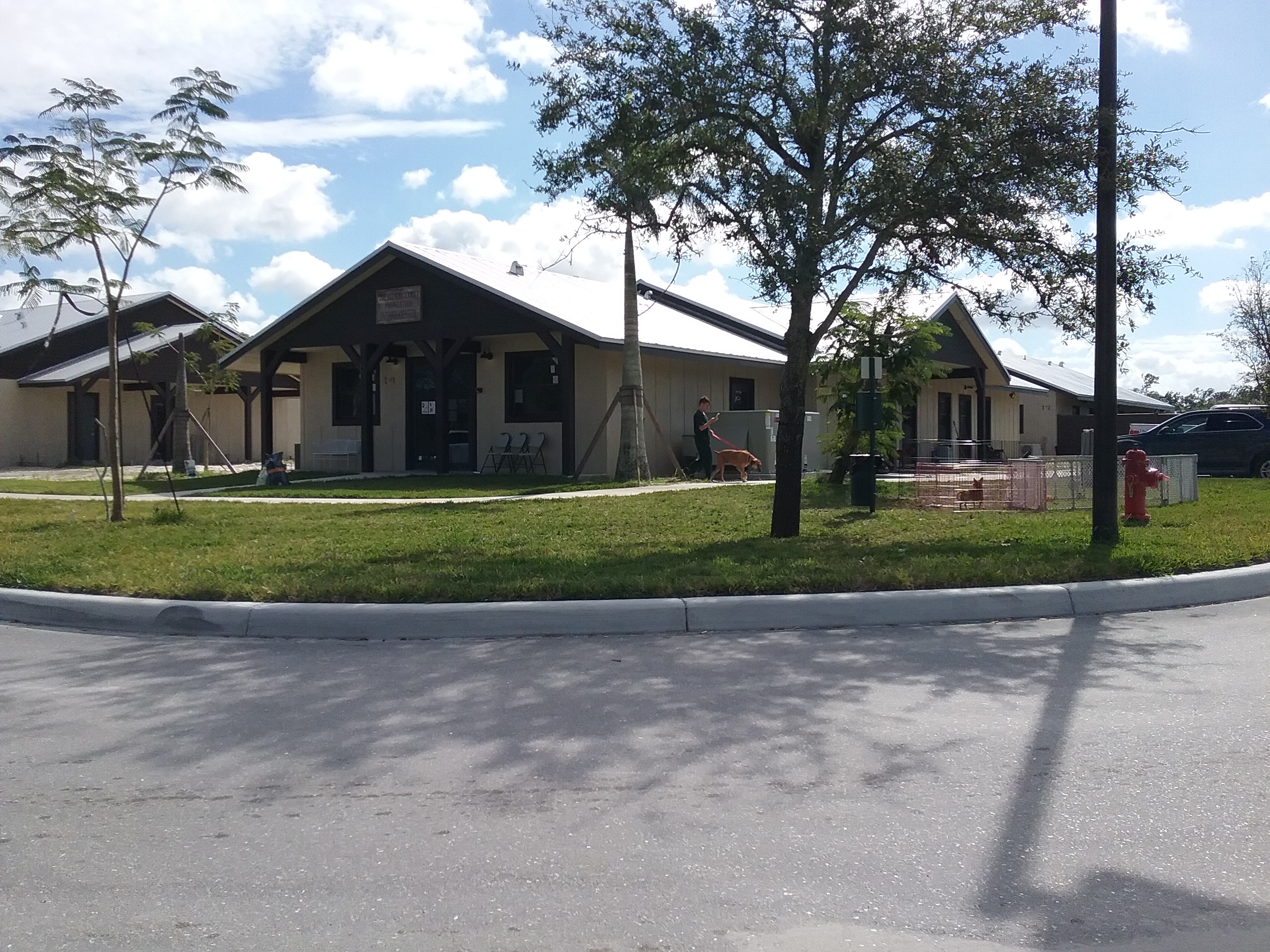 大狗牧场救援中心·室内设计的人性关怀-1