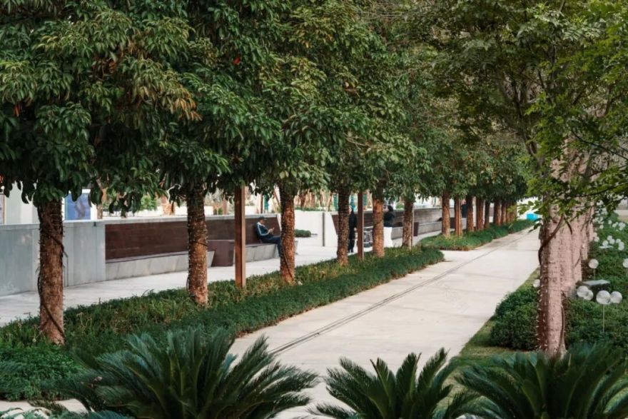 广州白鹅潭聚龙湾片区项目启动区园林景观工程丨中国广州-9