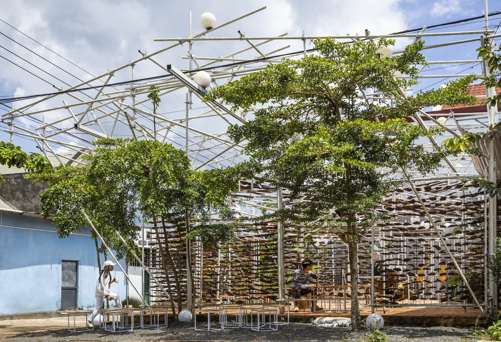 采茶,开花丨越南-27