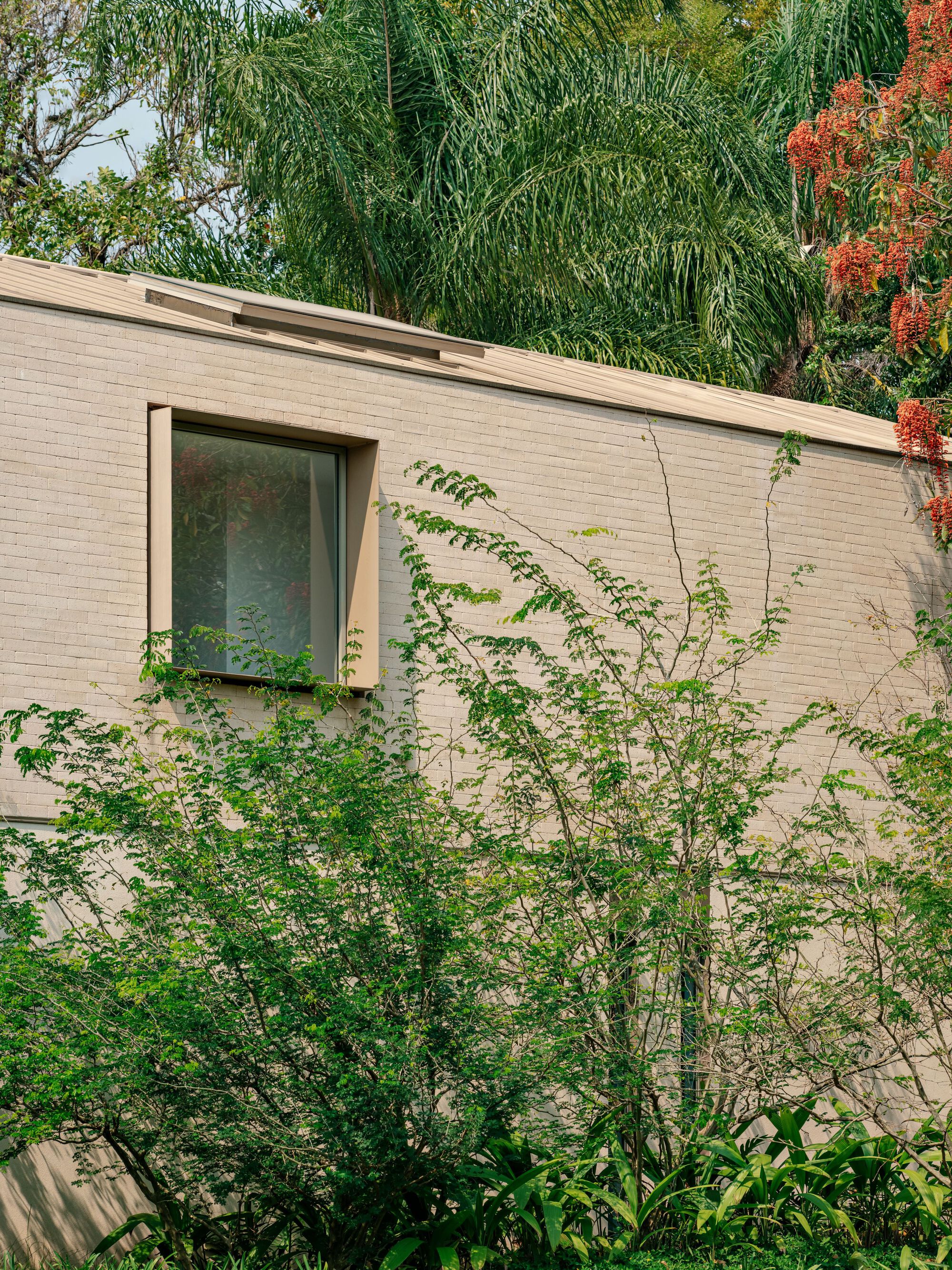 丨巴西圣保罗丨SAAG Arquitetura-25