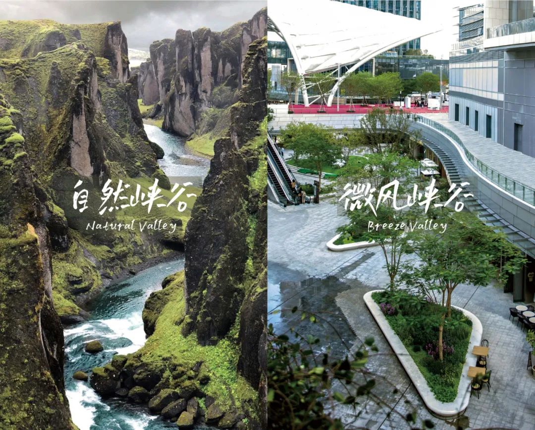 深圳华润万象前海商业花境设计及落地丨中国深圳丨深圳本末度景观设计有限公司-36