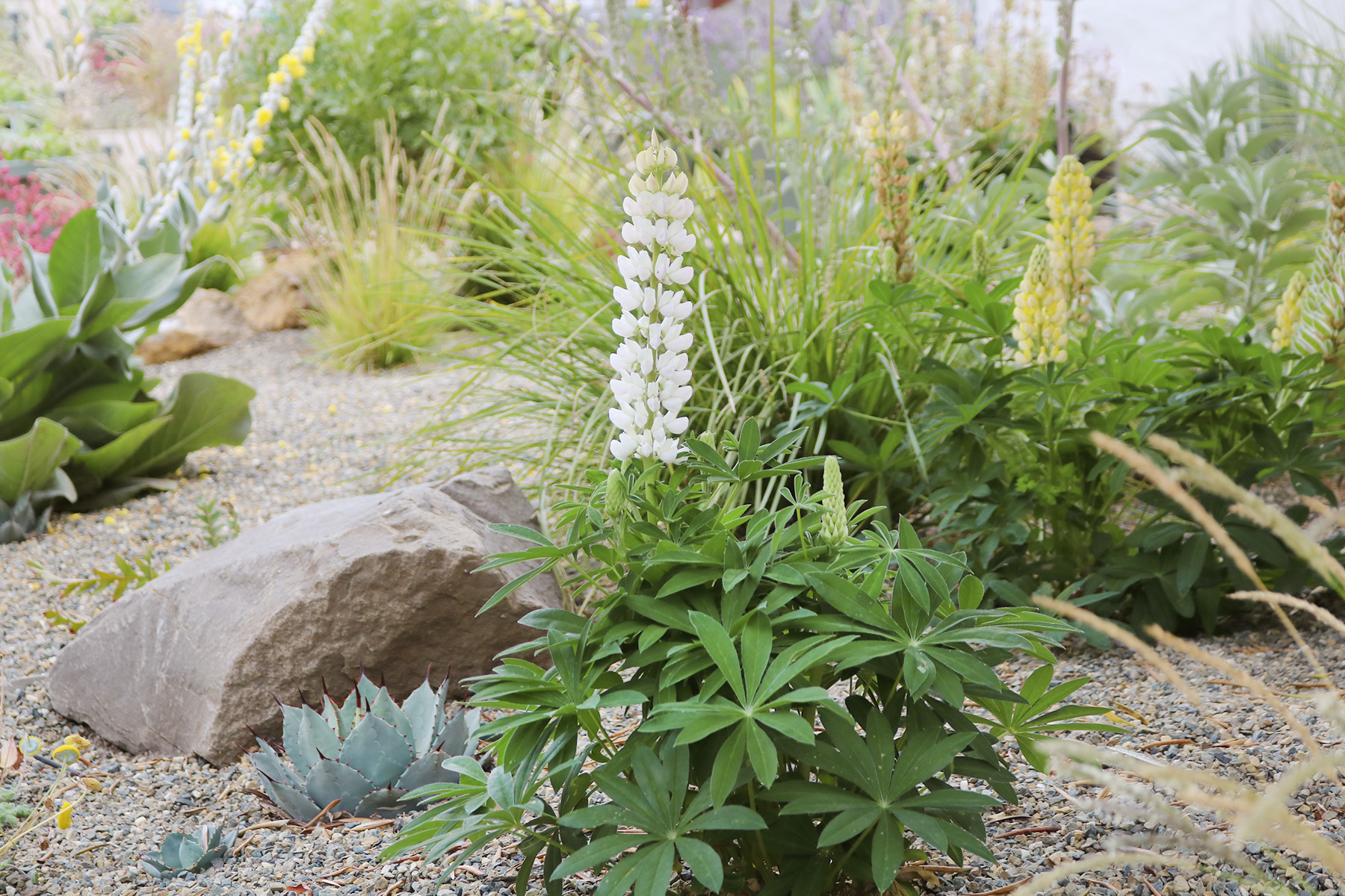 身边风景 | Soft Studio-93