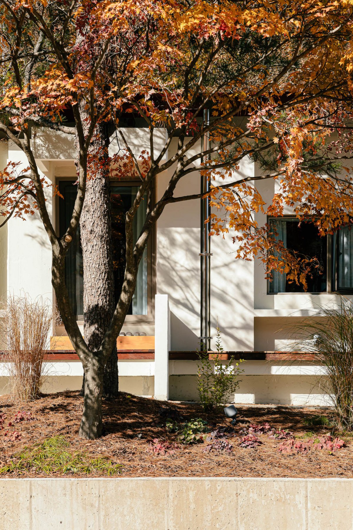 Owol School_files Z Lab-37