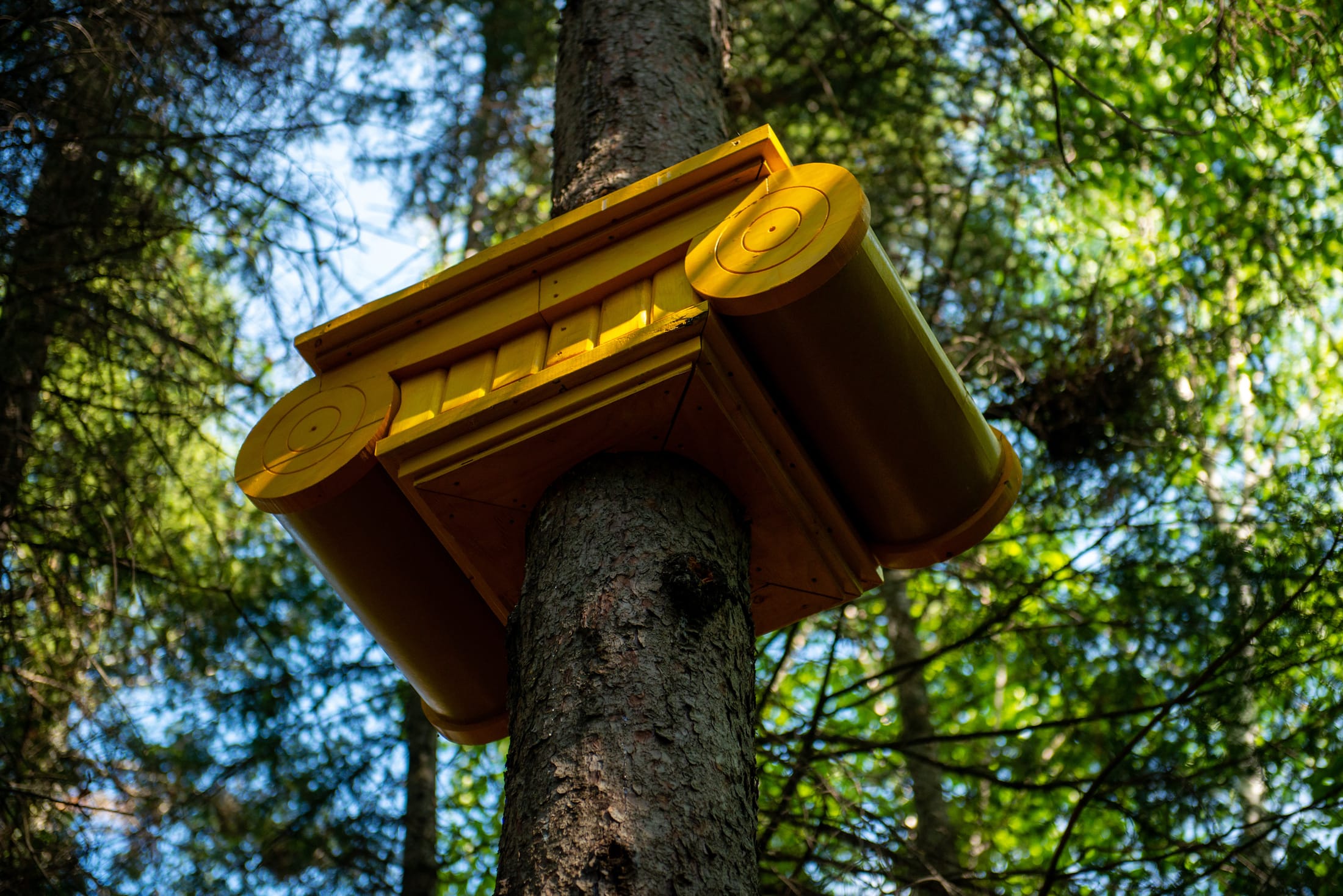 2019加拿大国际花园节(第二部分),Reford Gardens-75