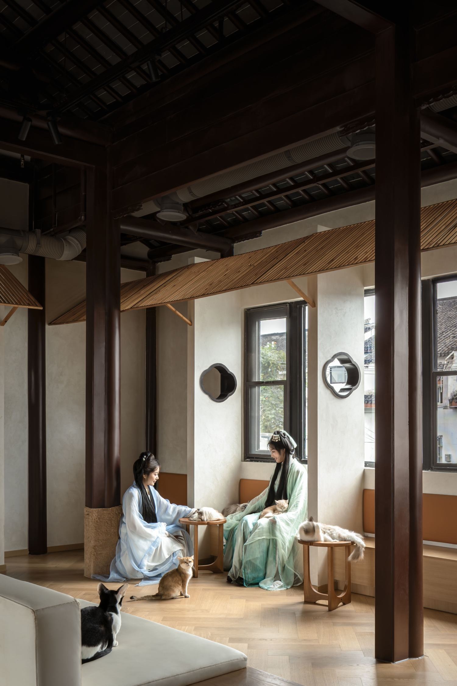 苏州平江老街的萌宠空间丨平介设计-12