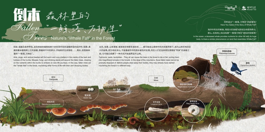 深圳市罗湖区东湖公园郊野径 – 莲塘口岸线丨中国深圳丨深圳市未名设计顾问有限公司 (WMLA)-144