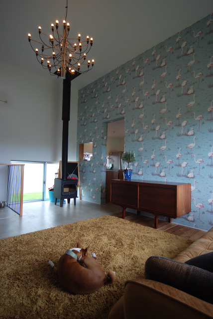 丨日本宫崎丨有限会社 COGITE-27