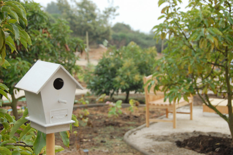 医院花园 | 自然环境作为医疗设施的新趋势-10