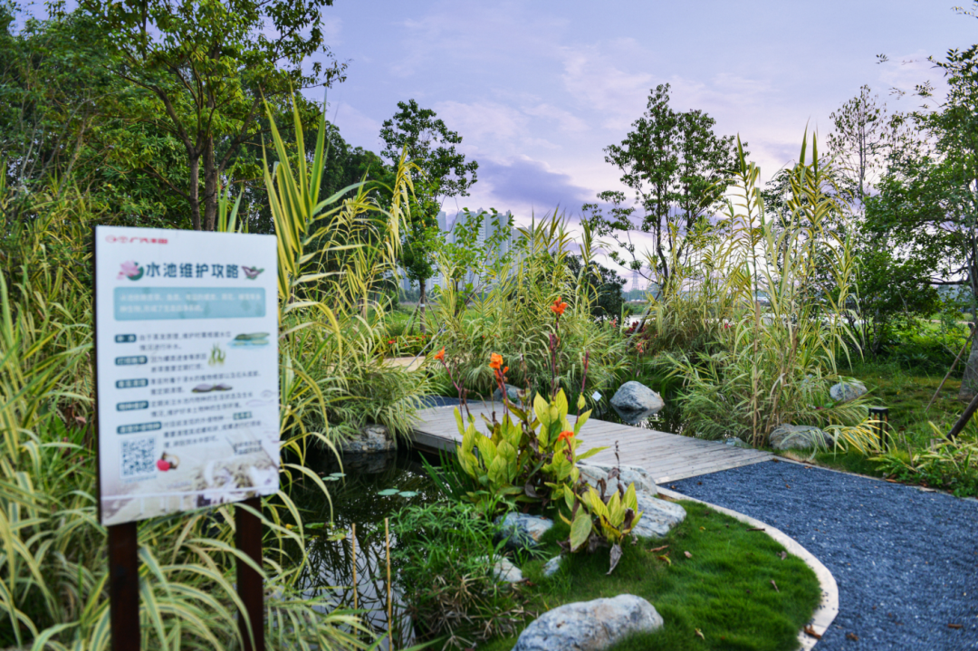 广汽丰田生态园·工业绿色风景线丨普邦设计-32