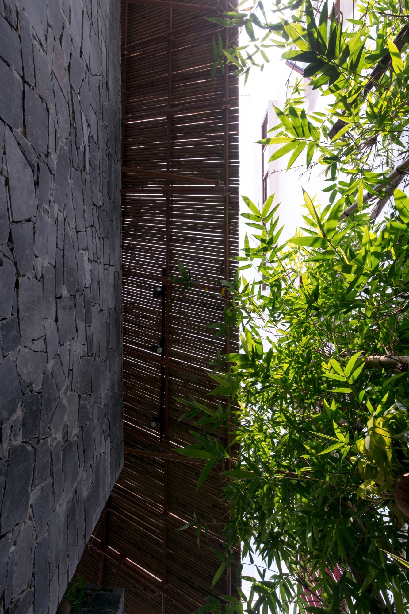 S Space / H&P Architects-43