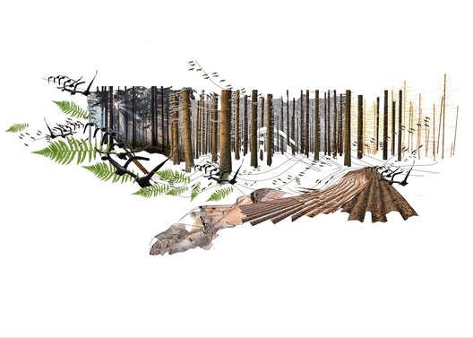 德国雷豪市生物多样性中心设计丨Miralles Tagliabue EMBT-61