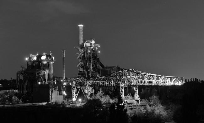 “老虎与乌龟”丨德国丨德国艺术家乌尔里希·根茨和海克·穆特-82