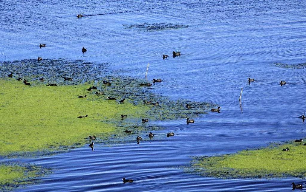天津桃李春风江南系中式小别墅-12