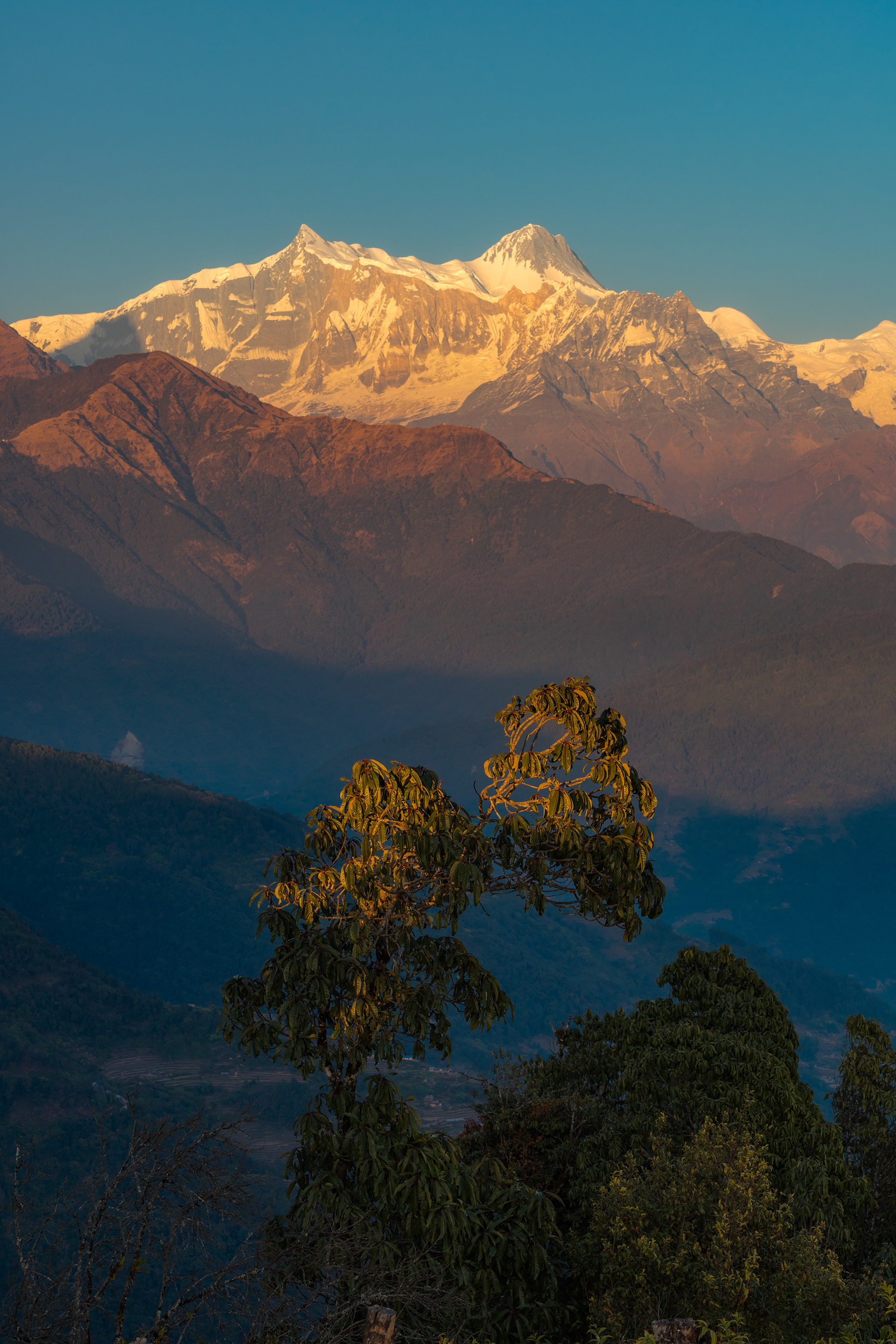 博克拉及周边地区丨尼泊尔丨KIRILL TSYBENKO-51