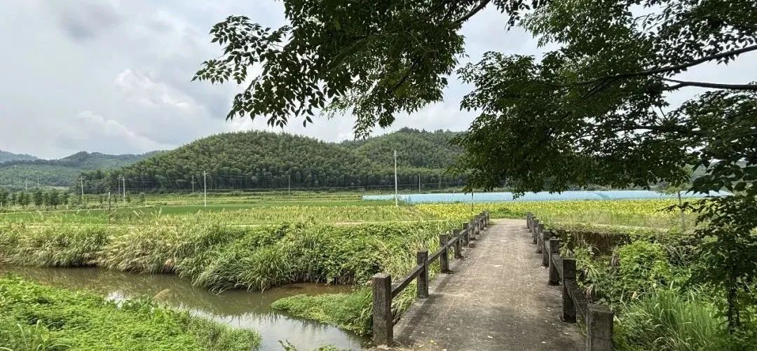 里承计划丨在官屯村的时光褶皱里，打捞设计的温度-29