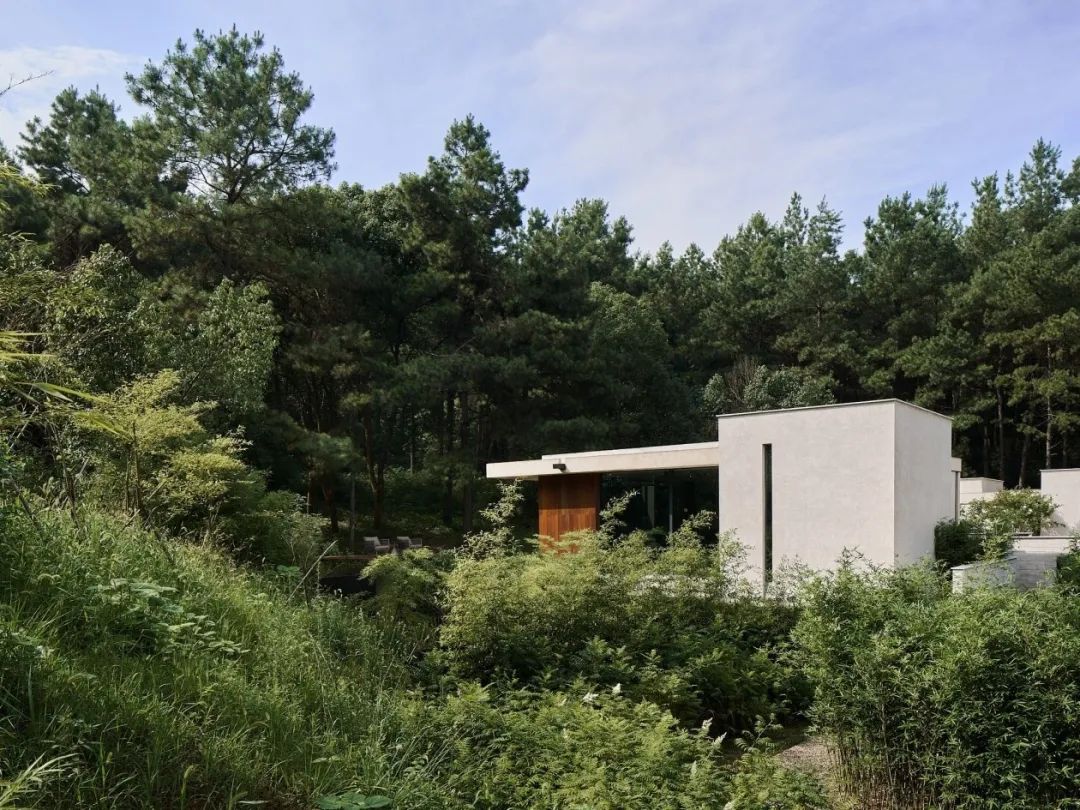 浙江松境度假庄园丨中国浙江丨八荒设计-9