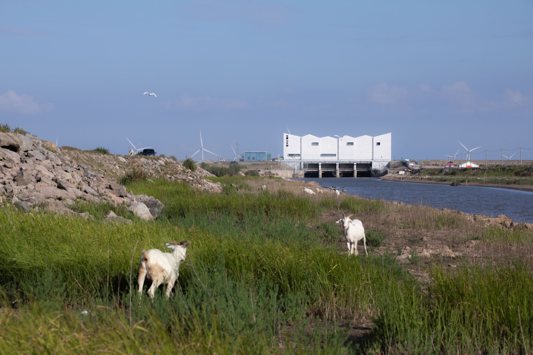“山海之界” 象山饭桶营地山水闸改造丨中国宁波丨MARS星球建筑-78