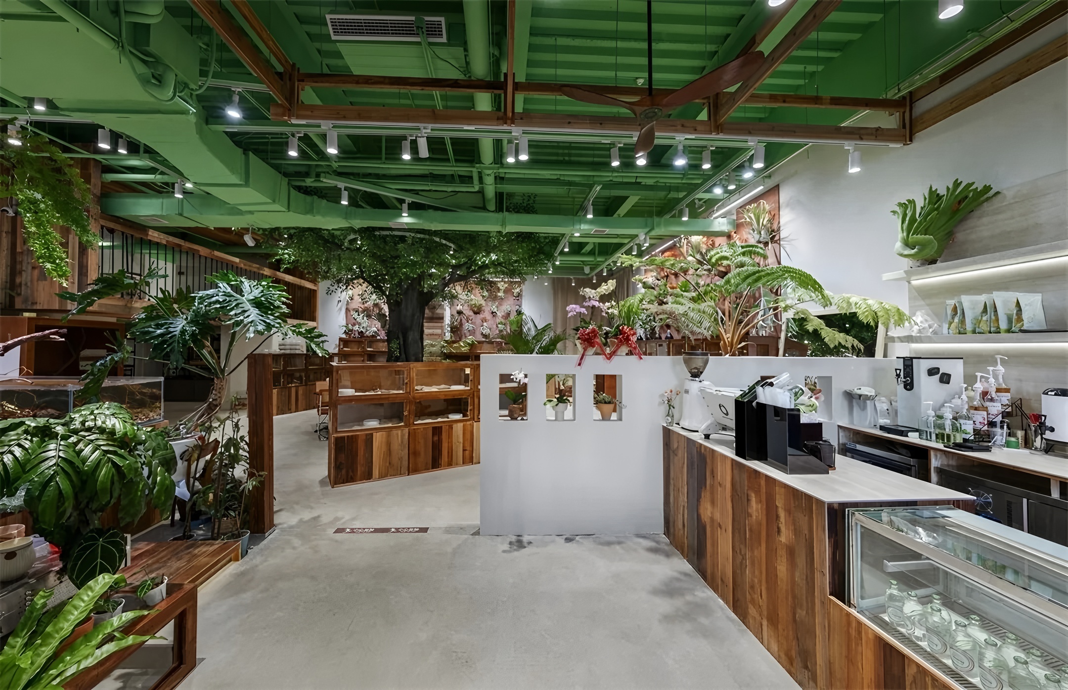 《绿觅 · 尾巴屋》西安宠物店丨中国西安丨陕西梁辰造物建筑设计-5