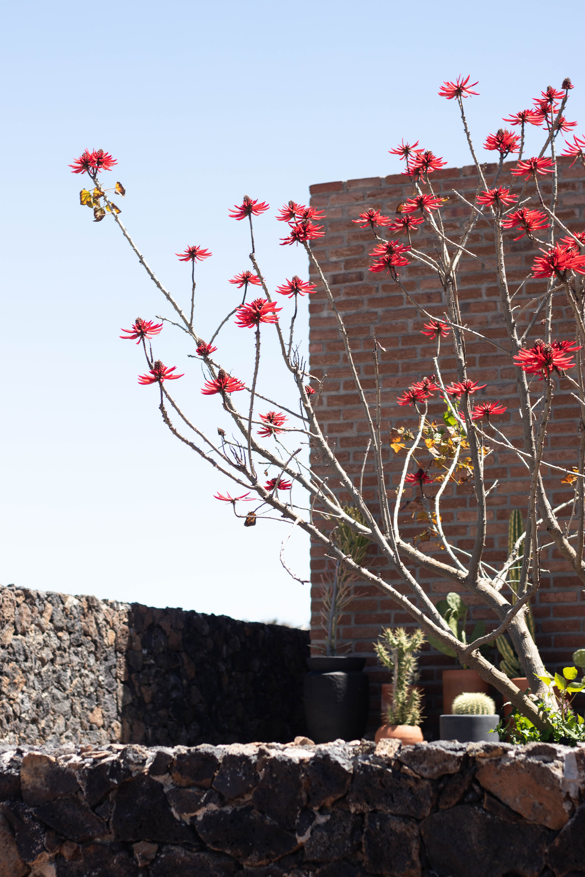 乡村民宿丨墨西哥丨SANTOS BOLIVAR,Dosa studio-29