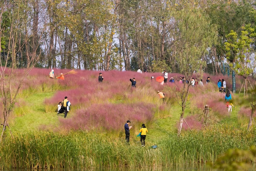 新加坡·南京生态科技岛滨江风光带(大江侧)示范区景观设计项目-35